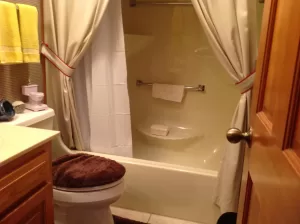 Stylish remodeled bathroom in Nixa, MO with upgraded finishes, custom features, and a bright modern layout